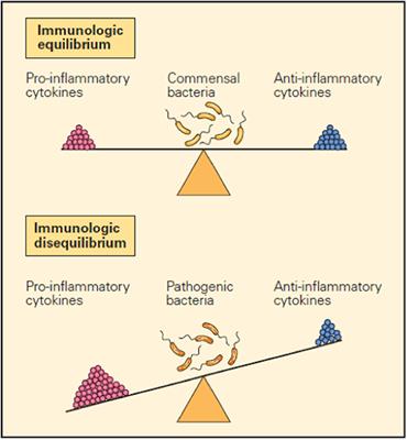 Prospects of the Use of Cell Therapy to Induce Immune Tolerance